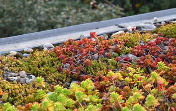 the cost of Cobnash green roof installation