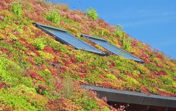 Cobnash living roof systems